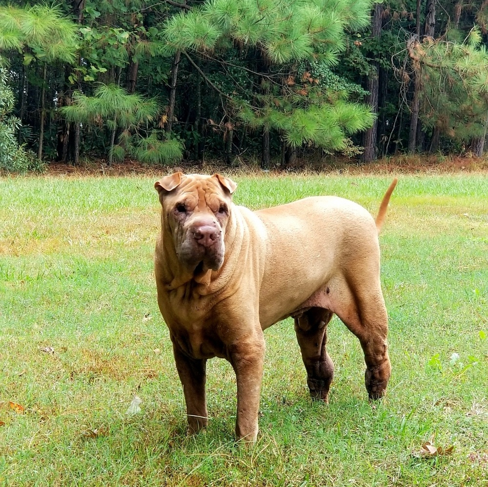 Meet your Posher, Mike